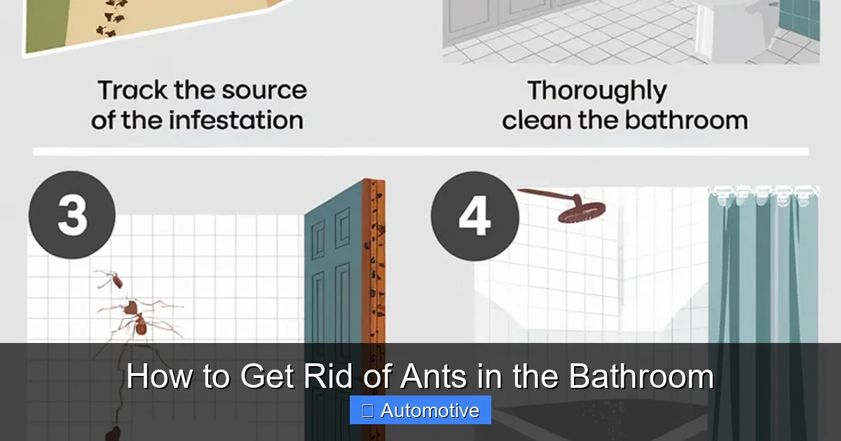 How to Get Rid of Ants in the Bathroom