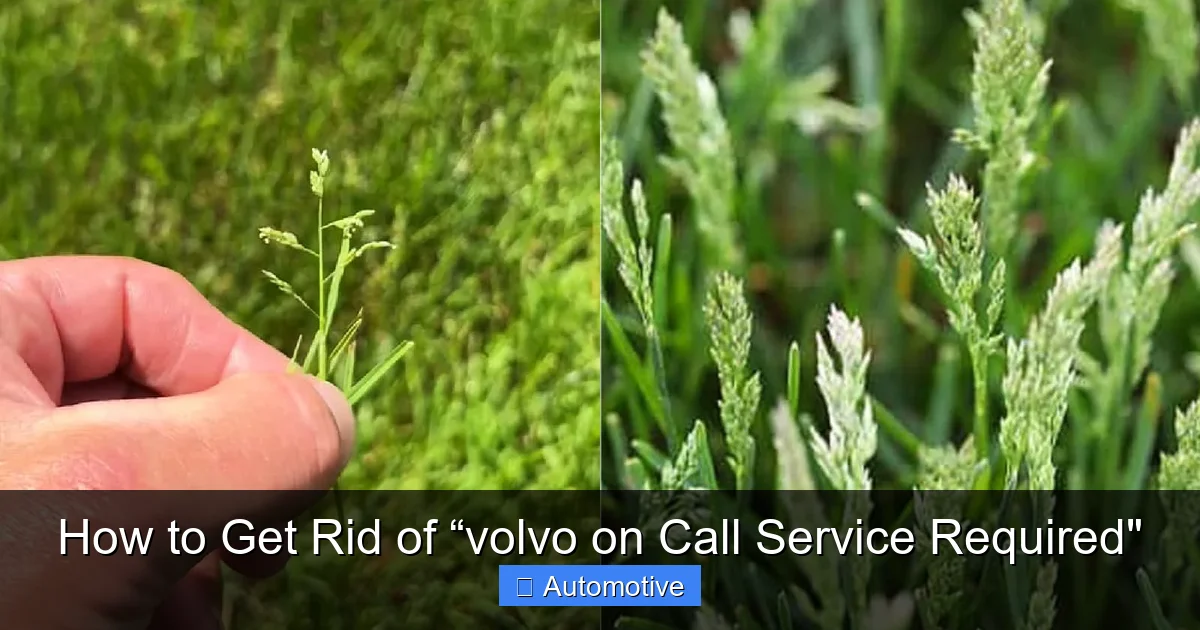 How to Get Rid of “volvo on Call Service Required