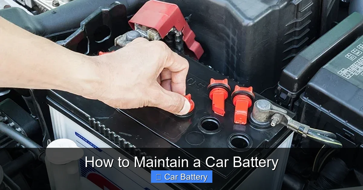 How to Maintain a Car Battery