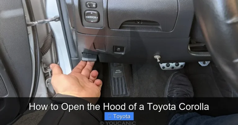 How to Open the Hood of a Toyota Corolla