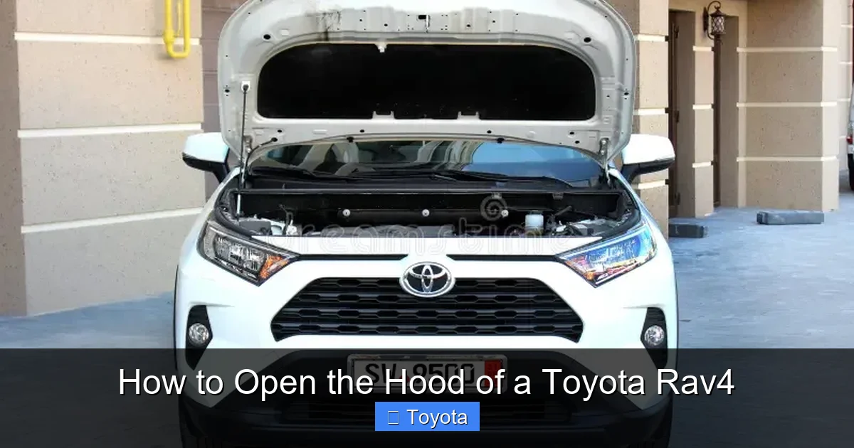 How to Open the Hood of a Toyota Rav4