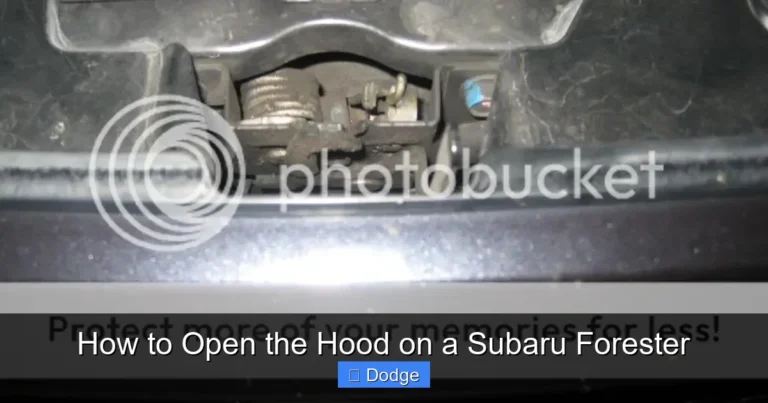 How to Open the Hood on a Subaru Forester