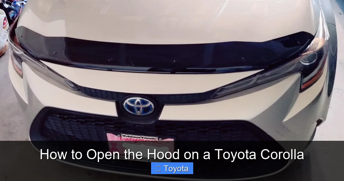 How to Open the Hood on a Toyota Corolla