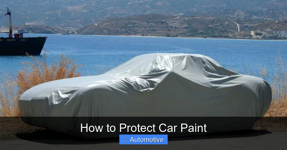 How to Protect Car Paint