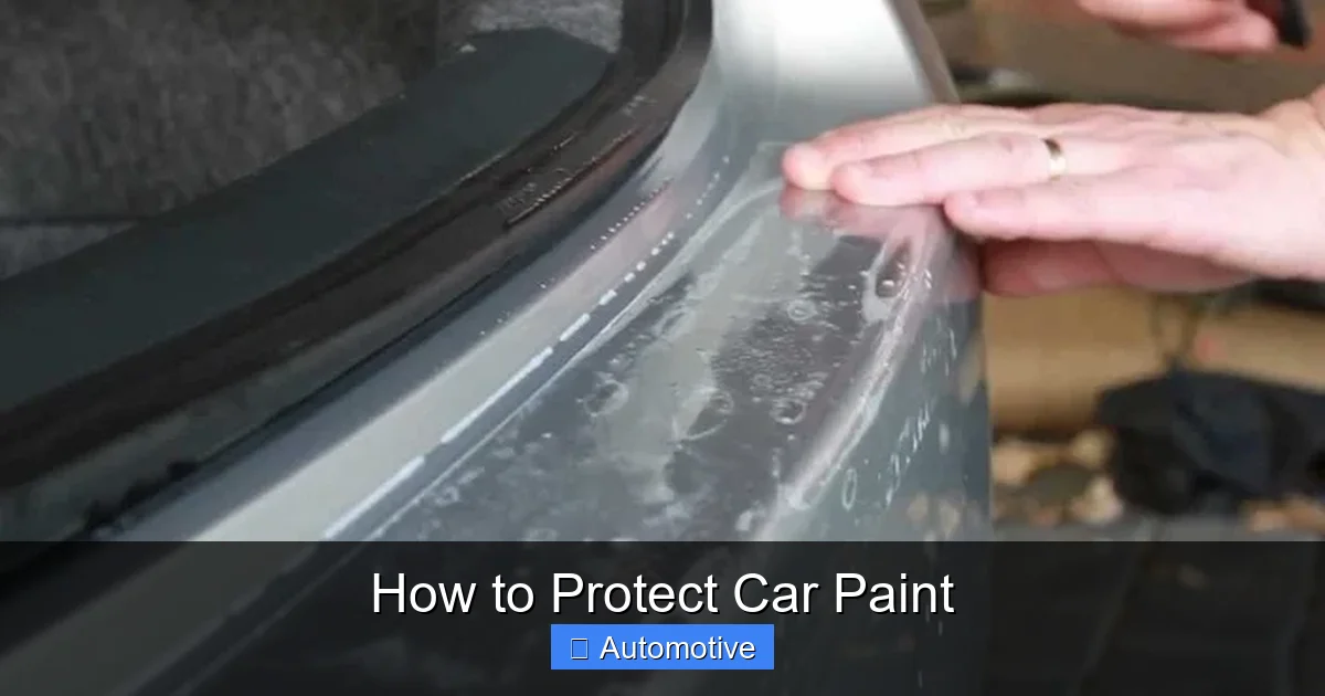 How to Protect Car Paint