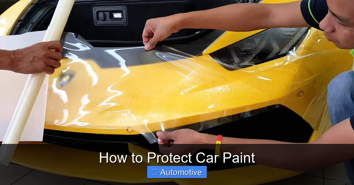 How to Protect Car Paint