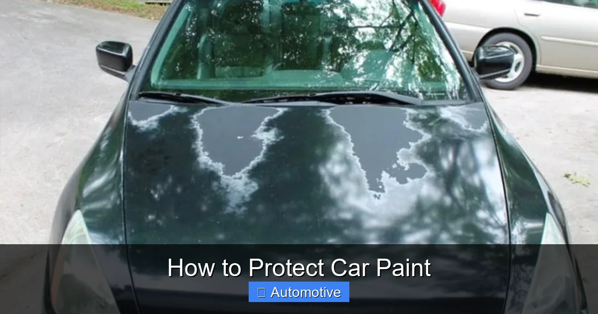 How to Protect Car Paint