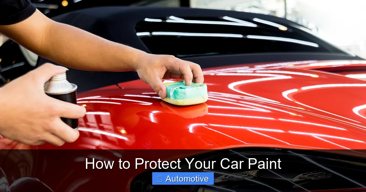 How to Protect Your Car Paint