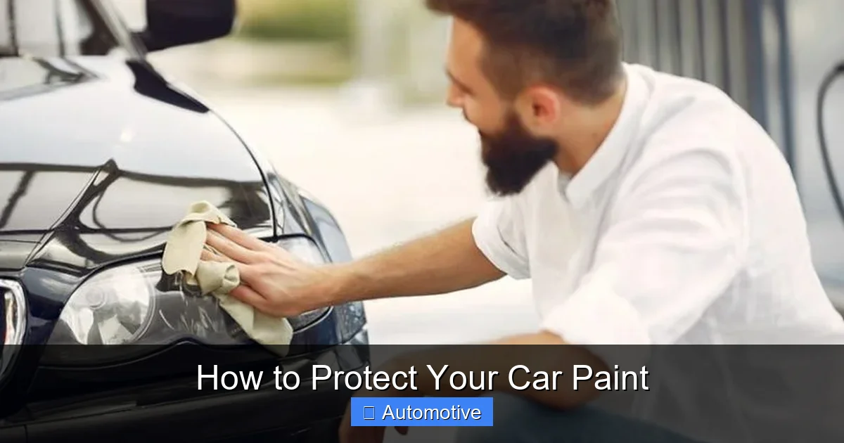 How to Protect Your Car Paint