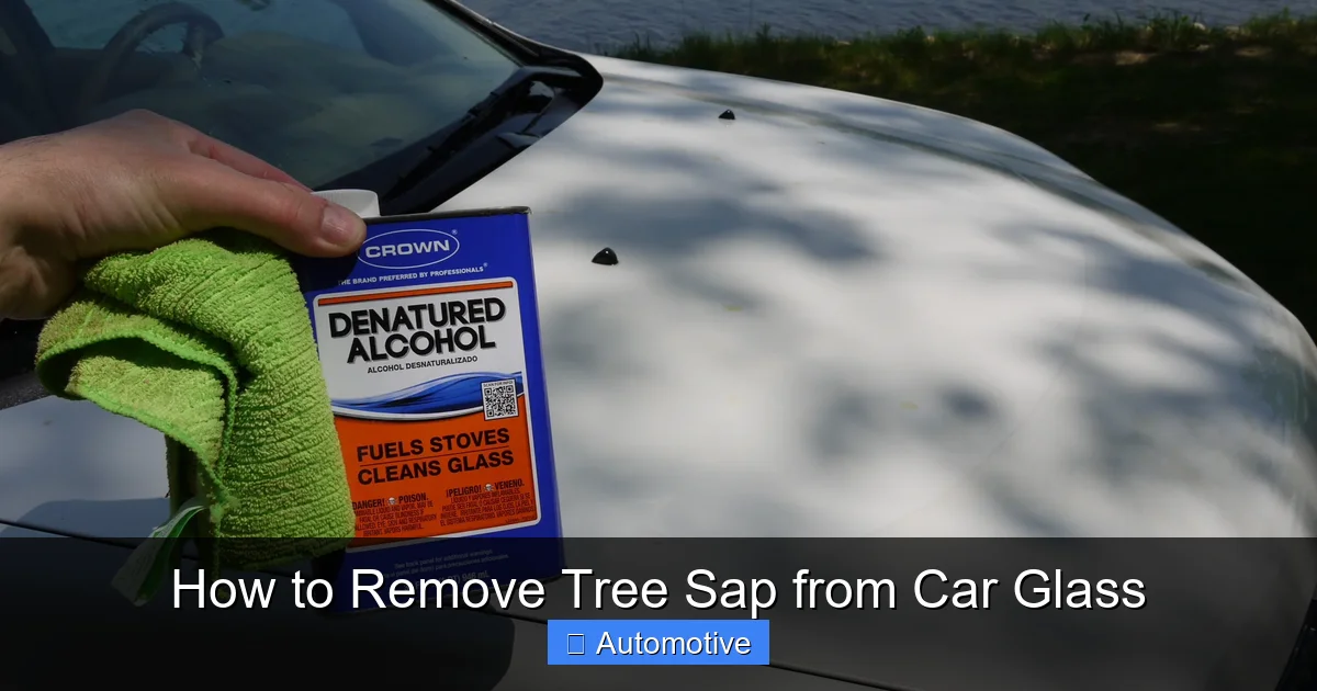 How to Remove Tree Sap from Car Glass