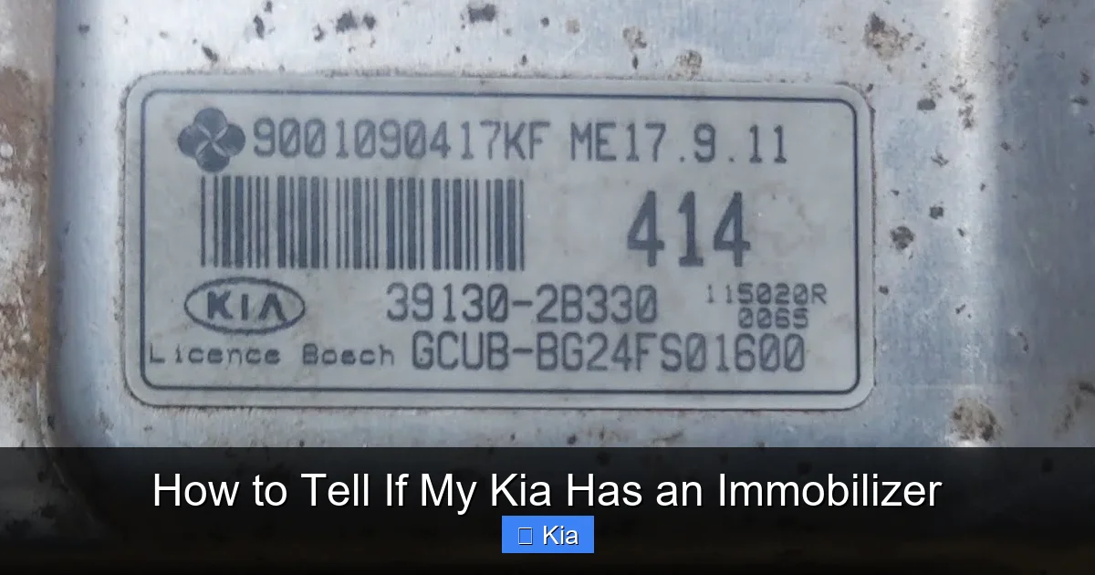 How to Tell If My Kia Has an Immobilizer