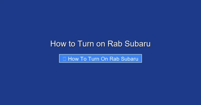 How to Turn on Rab Subaru