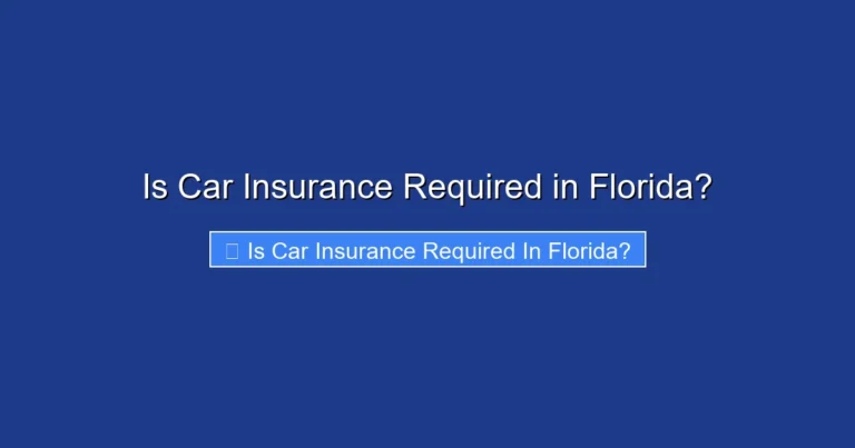 Is Car Insurance Required in Florida?