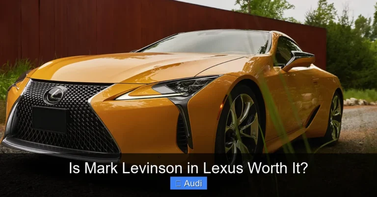 Is Mark Levinson in Lexus Worth It?