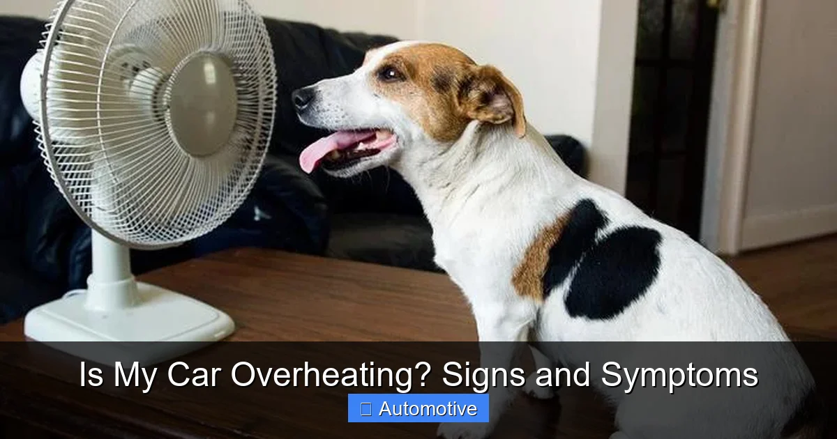 Is My Car Overheating? Signs and Symptoms