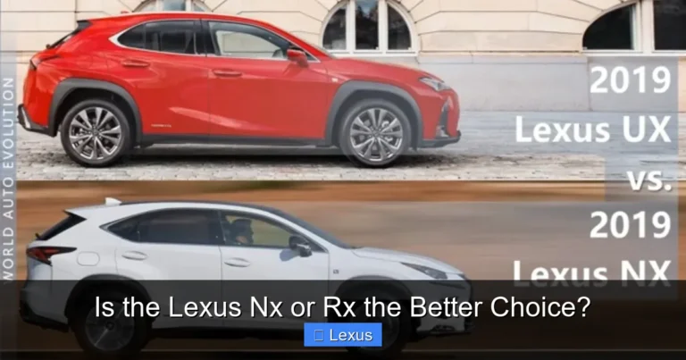 Is the Lexus Nx or Rx the Better Choice?