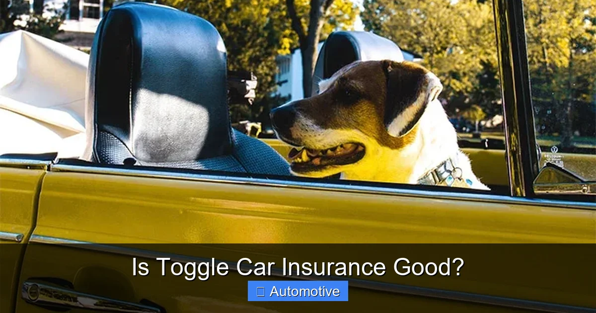 Is Toggle Car Insurance Good?