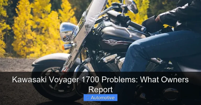 Kawasaki Voyager 1700 Problems: What Owners Report
