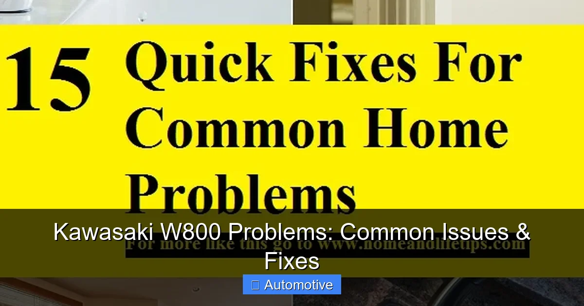Kawasaki W800 Problems: Common Issues & Fixes