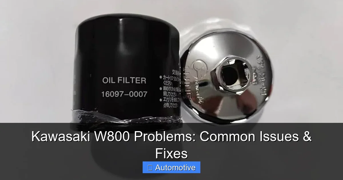 Kawasaki W800 Problems: Common Issues & Fixes