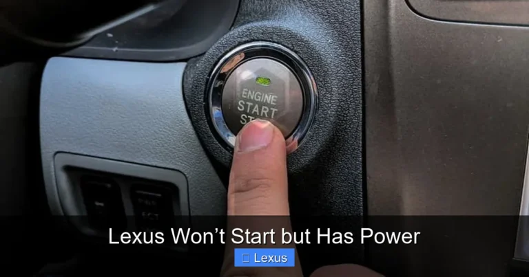 Lexus Won’t Start but Has Power
