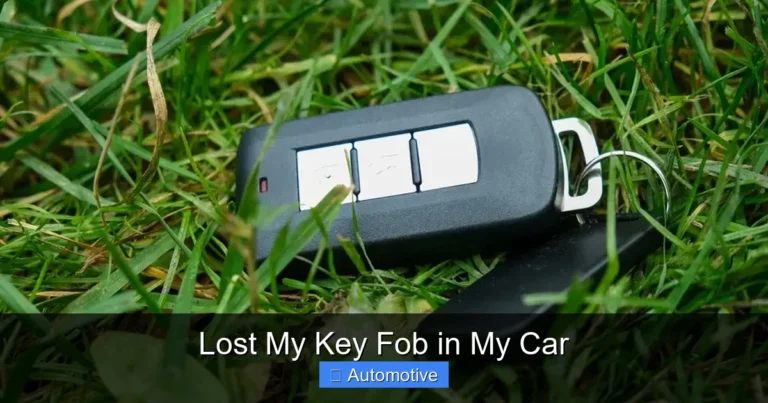 Lost My Key Fob in My Car