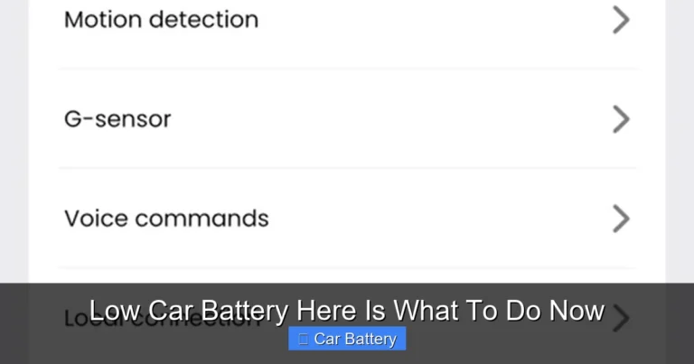 Low Car Battery Here Is What To Do Now