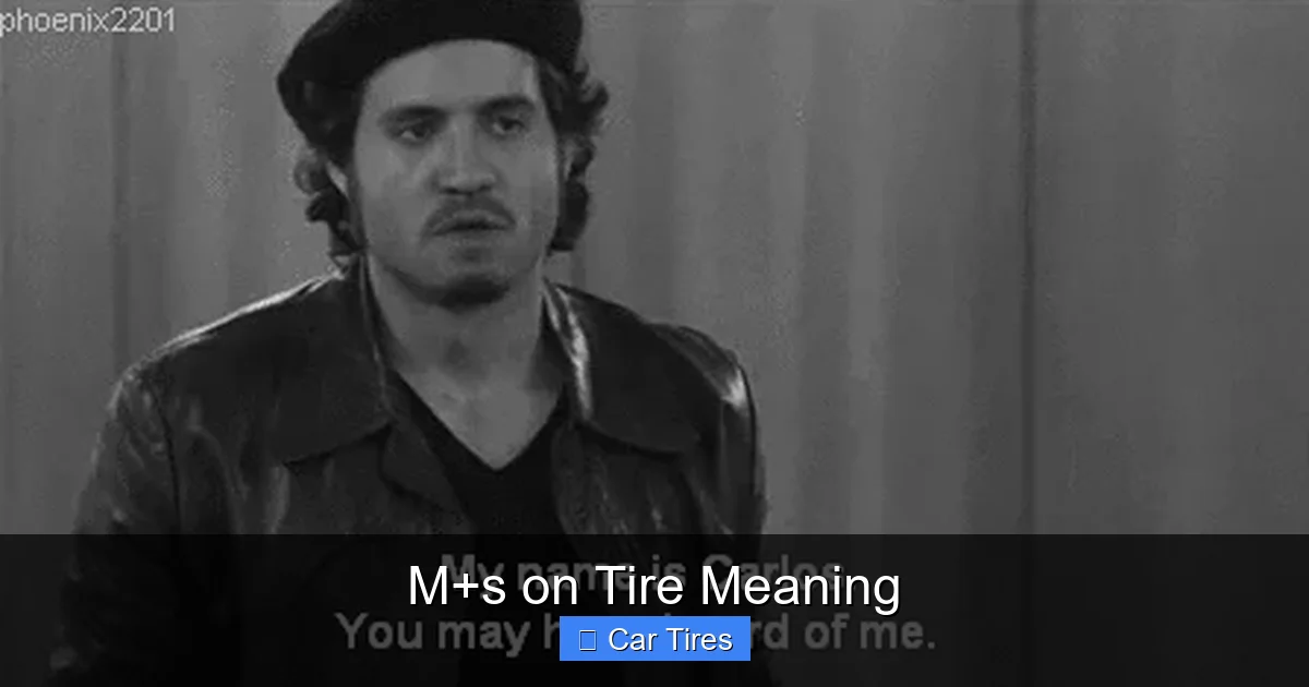 M+s on Tire Meaning