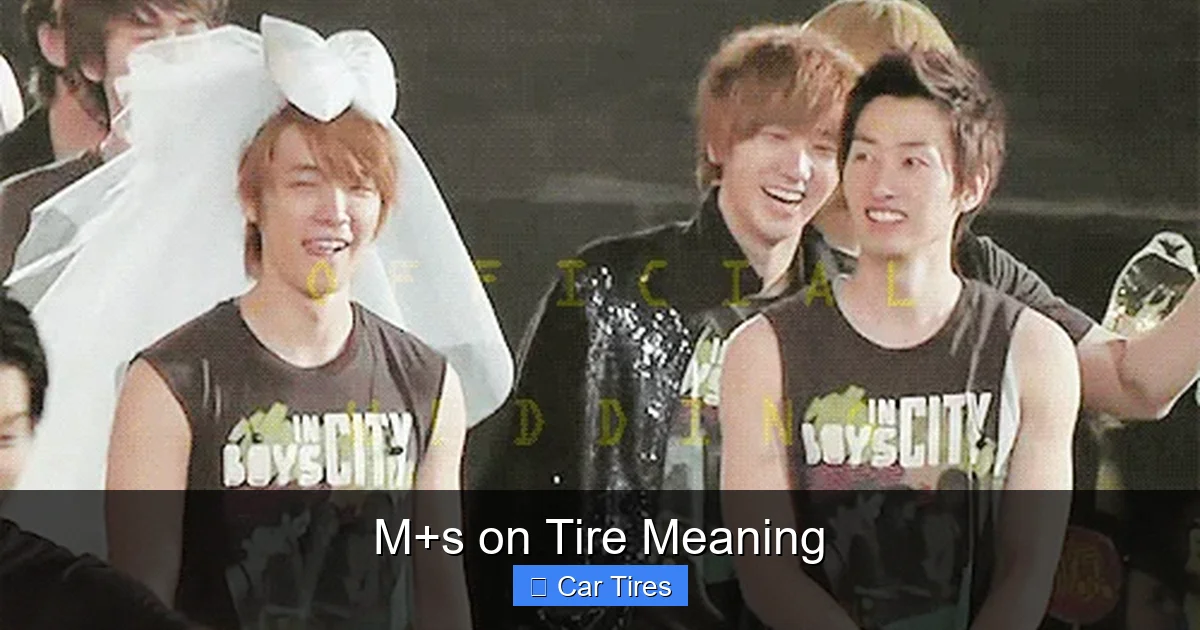 M+s on Tire Meaning