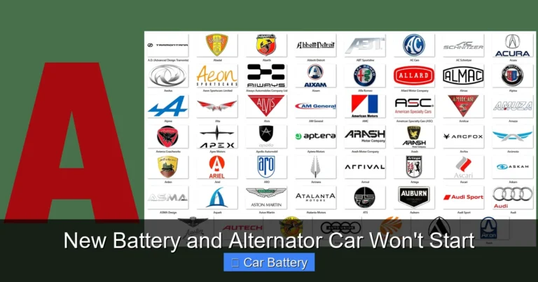 New Battery and Alternator Car Won't Start