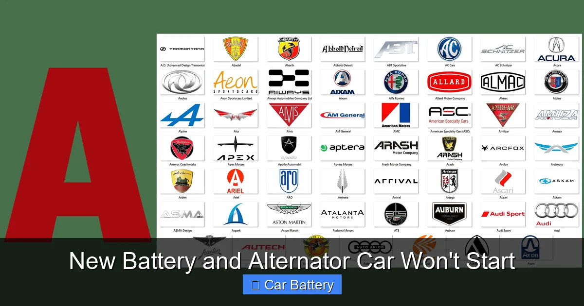 New Battery and Alternator Car Won't Start