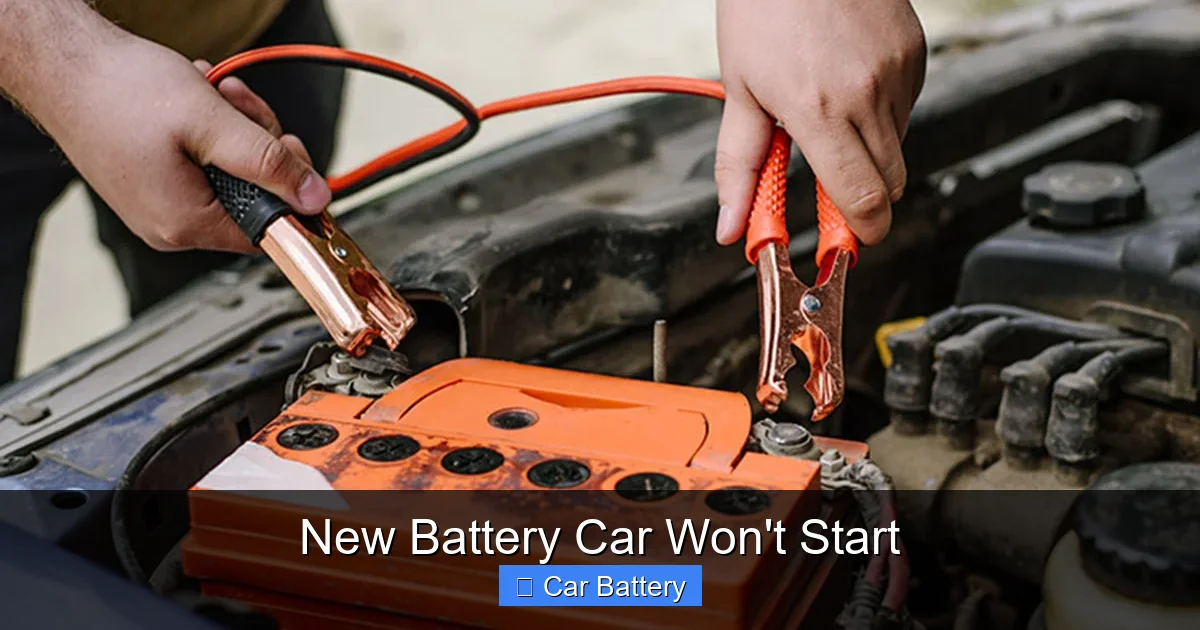 New Battery Car Won't Start