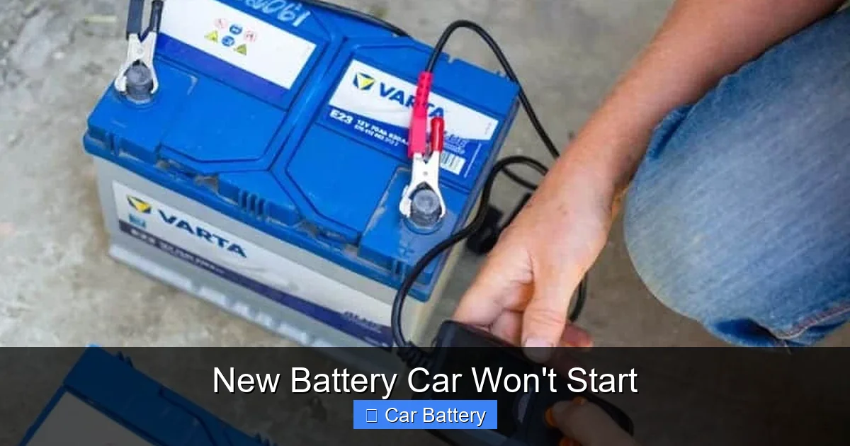 New Battery Car Won't Start