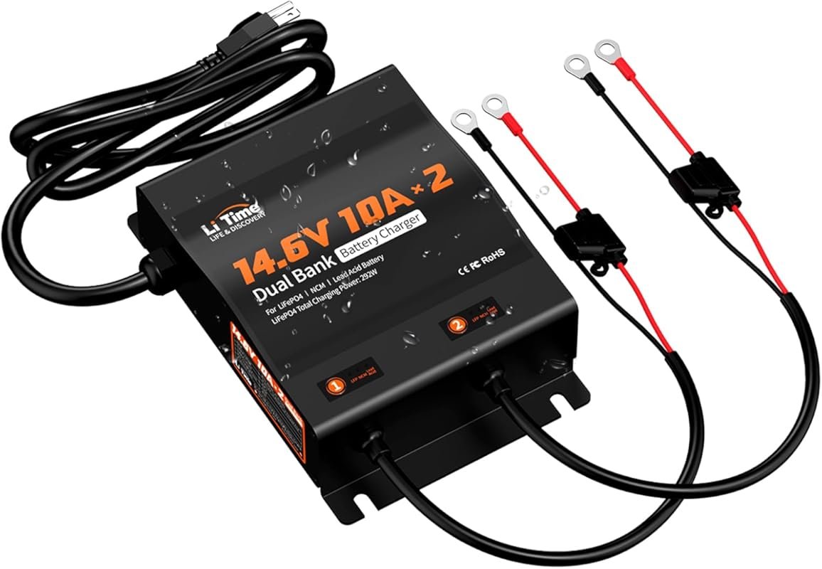 LiTime 2-Bank 10A Dual Smart Battery Charger for LiFePO4 and Lead Acid