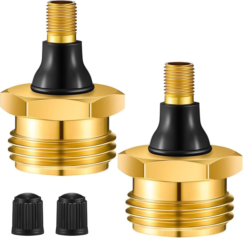 Two-Pack Brass Blow Out Plugs with Schrader Valve for RV Water Line Wi