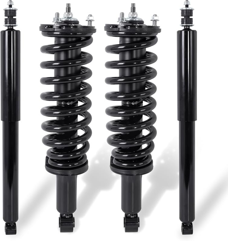 EVERESTWAY Front and Rear Complete Strut Assembly with Shock Coil Spri