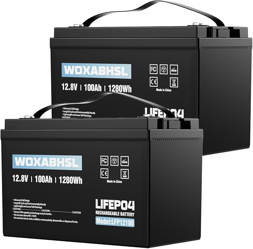 2-pack 12V 100Ah LiFePO4 batteries for marine use with Group 31 size, 