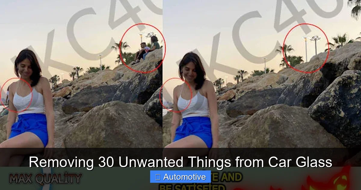 Removing 30 Unwanted Things from Car Glass