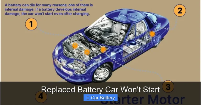 Replaced Battery Car Won't Start