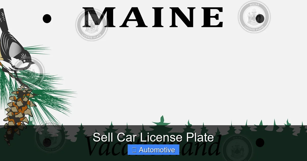 Sell Car License Plate