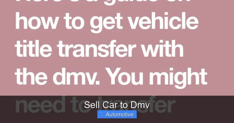 Sell Car to Dmv