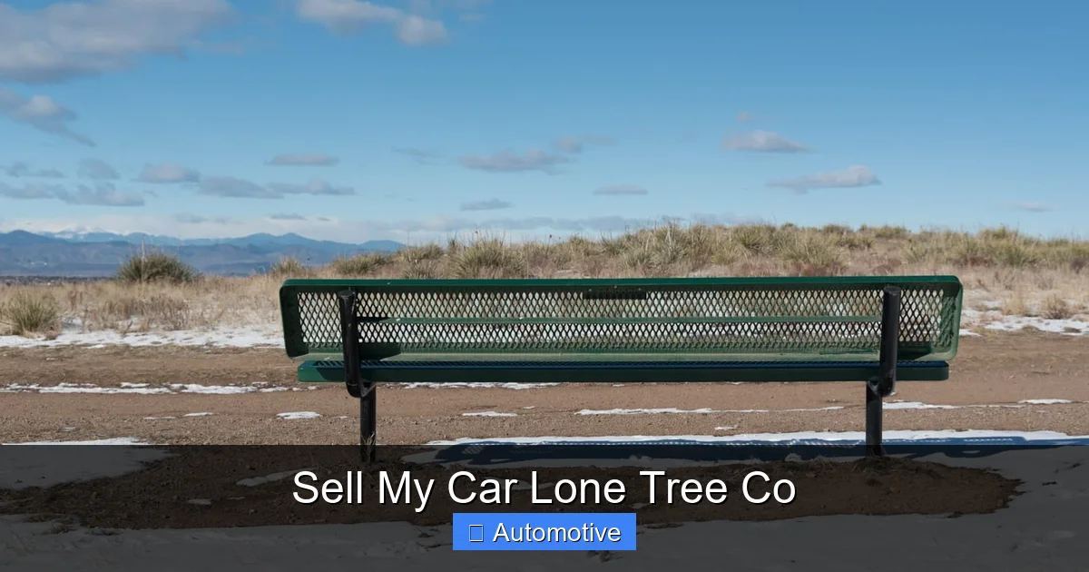 Sell My Car Lone Tree Co