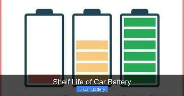 Shelf Life of Car Battery