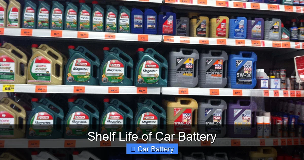 Shelf Life of Car Battery