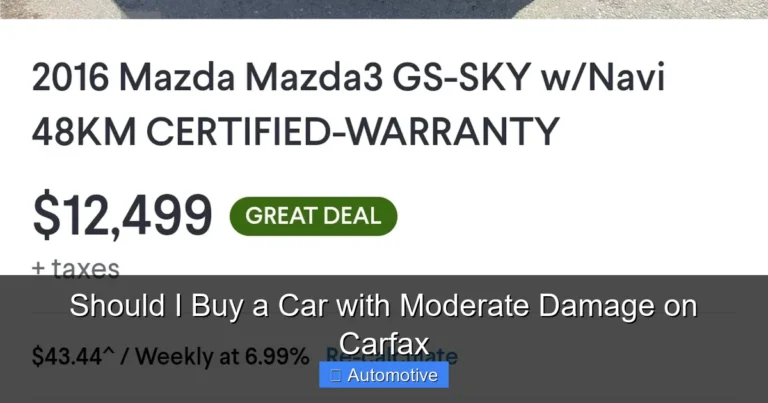 Should I Buy a Car with Moderate Damage on Carfax