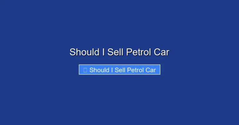 Should I Sell Petrol Car