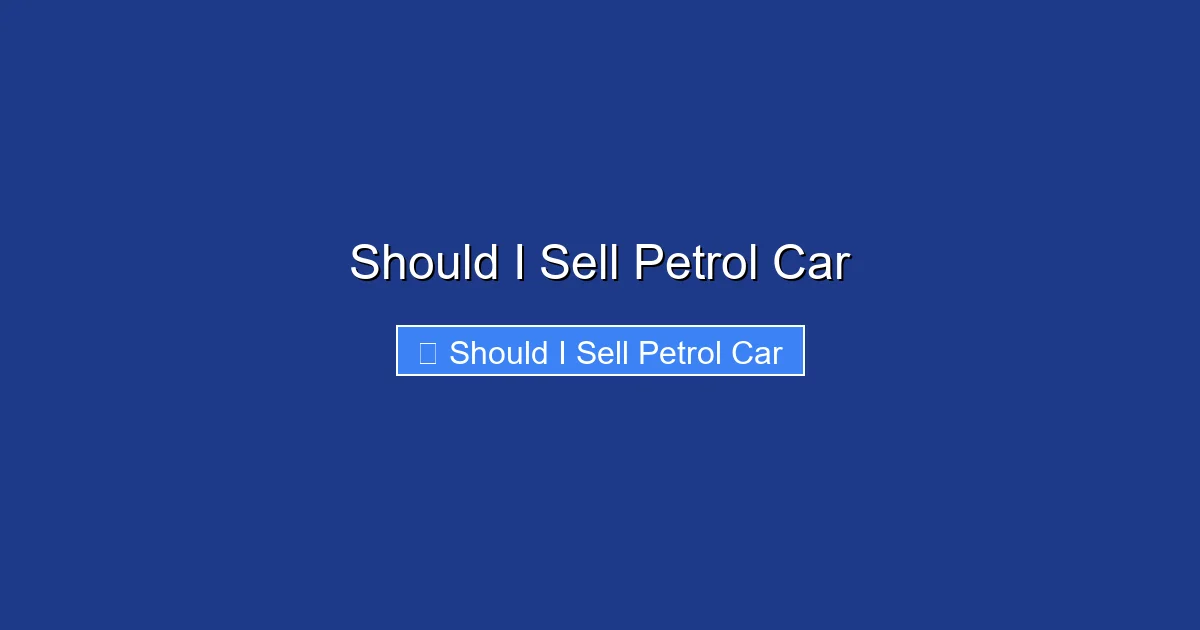 Should I Sell Petrol Car
