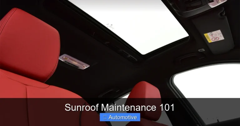 Sunroof Maintenance 101