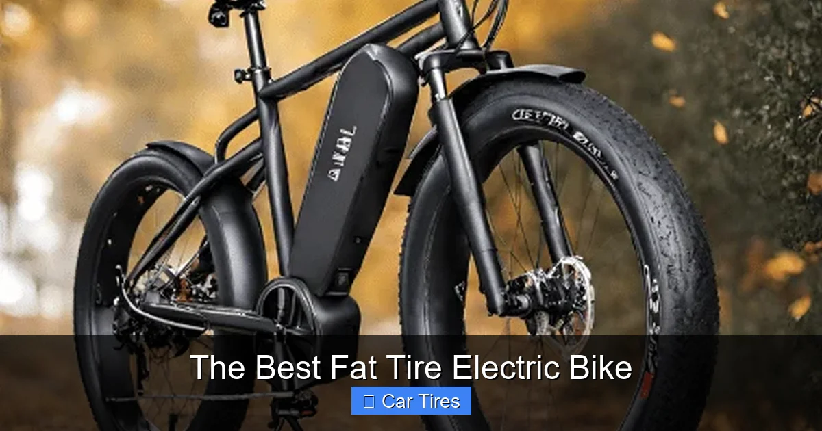 The Best Fat Tire Electric Bike
