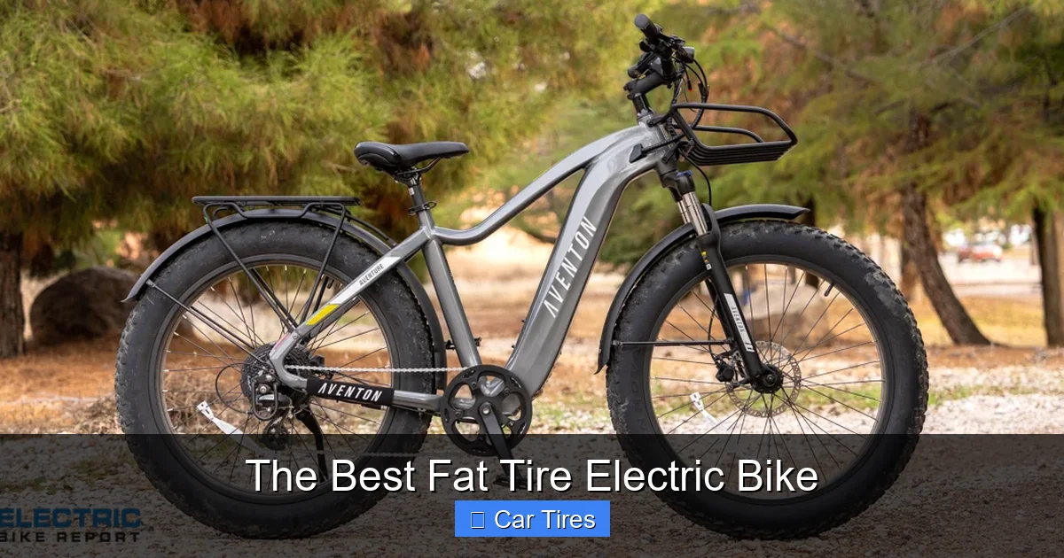 The Best Fat Tire Electric Bike